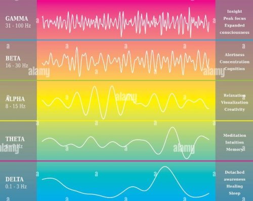 Human Brain Waves.JPG